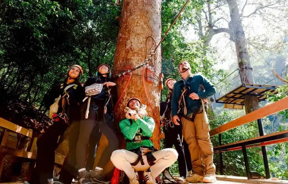 Visitors in helmets and harnesses pose around a tall tree on a wooden platform at Flying Tiger Zipline
