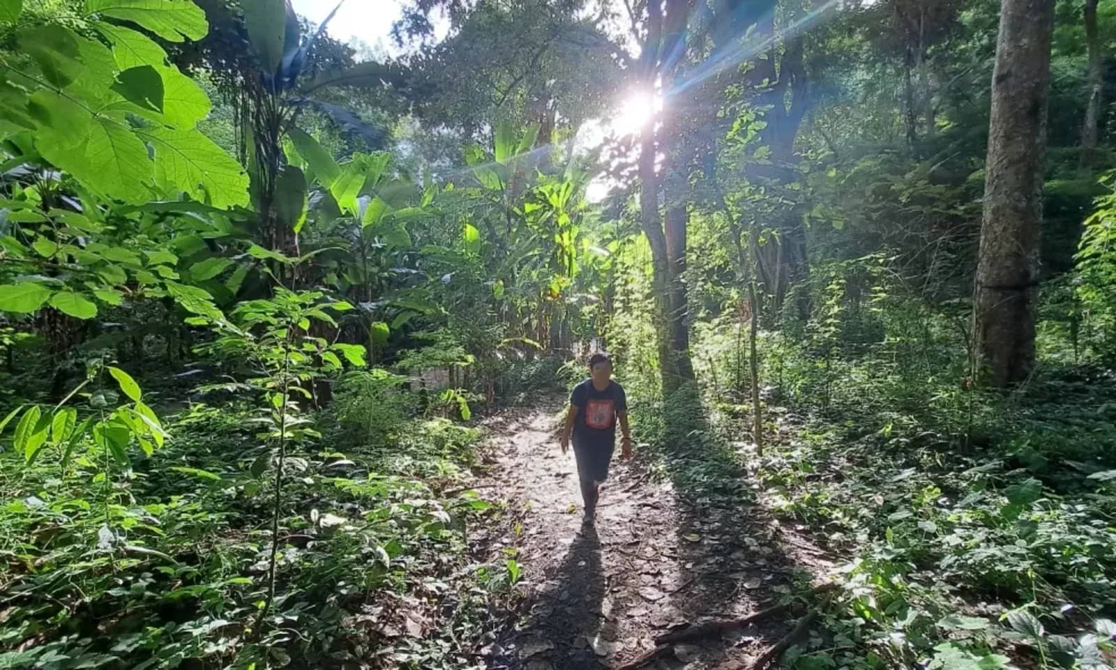 Mae Wang Day trek - photo 3