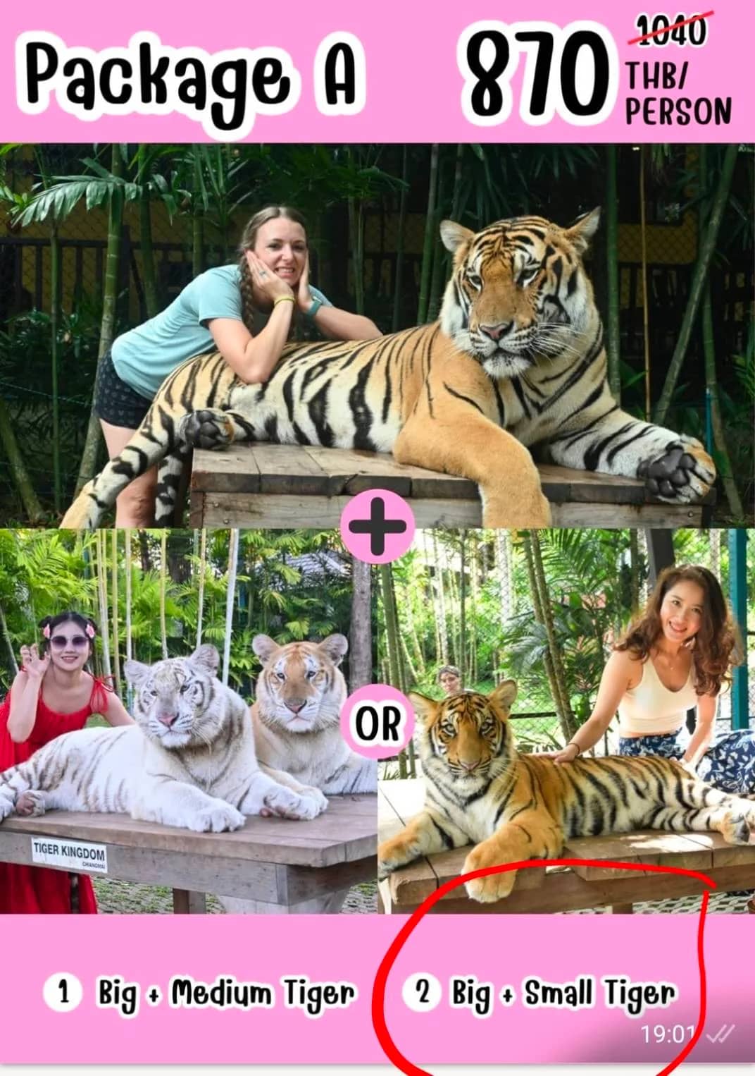 Tiger Kingdom Chiang Mai - photo 2