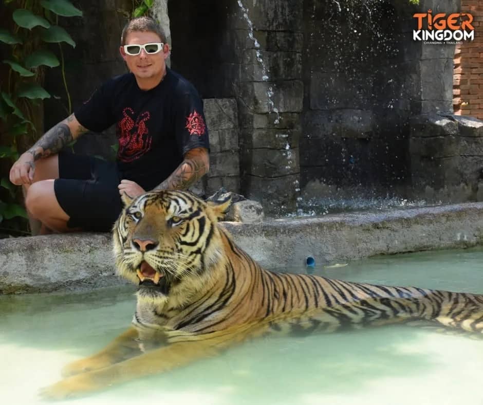 Tiger Kingdom Chiang Mai - photo 3