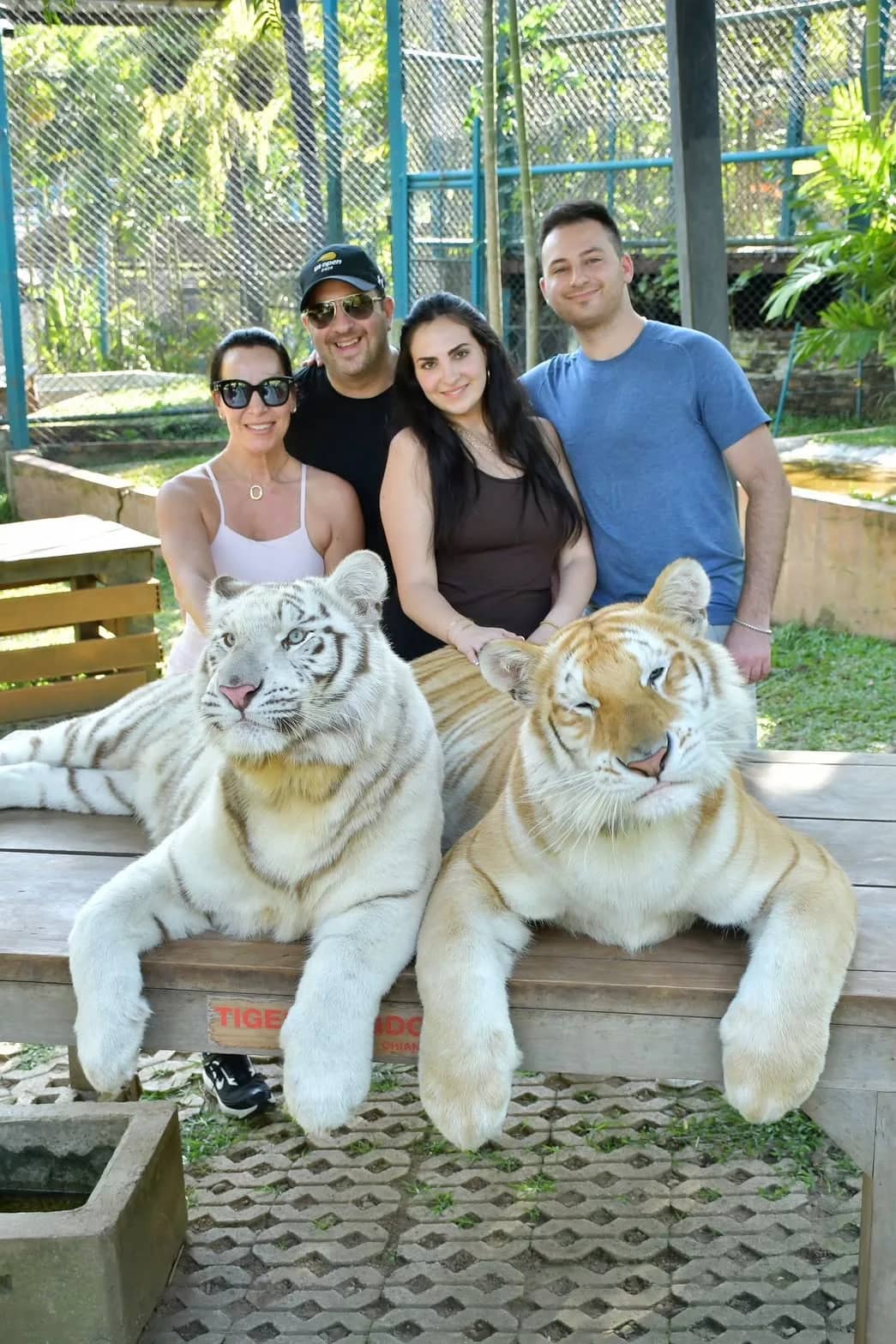 Tiger Kingdom Chiang Mai - photo 15
