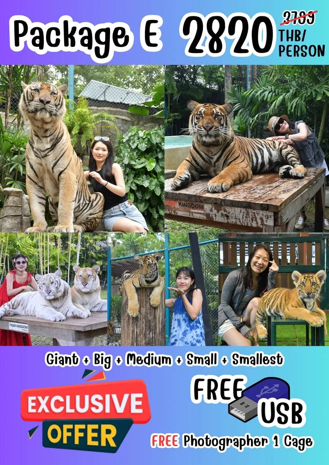 Tiger Kingdom Chiang Mai - photo 20
