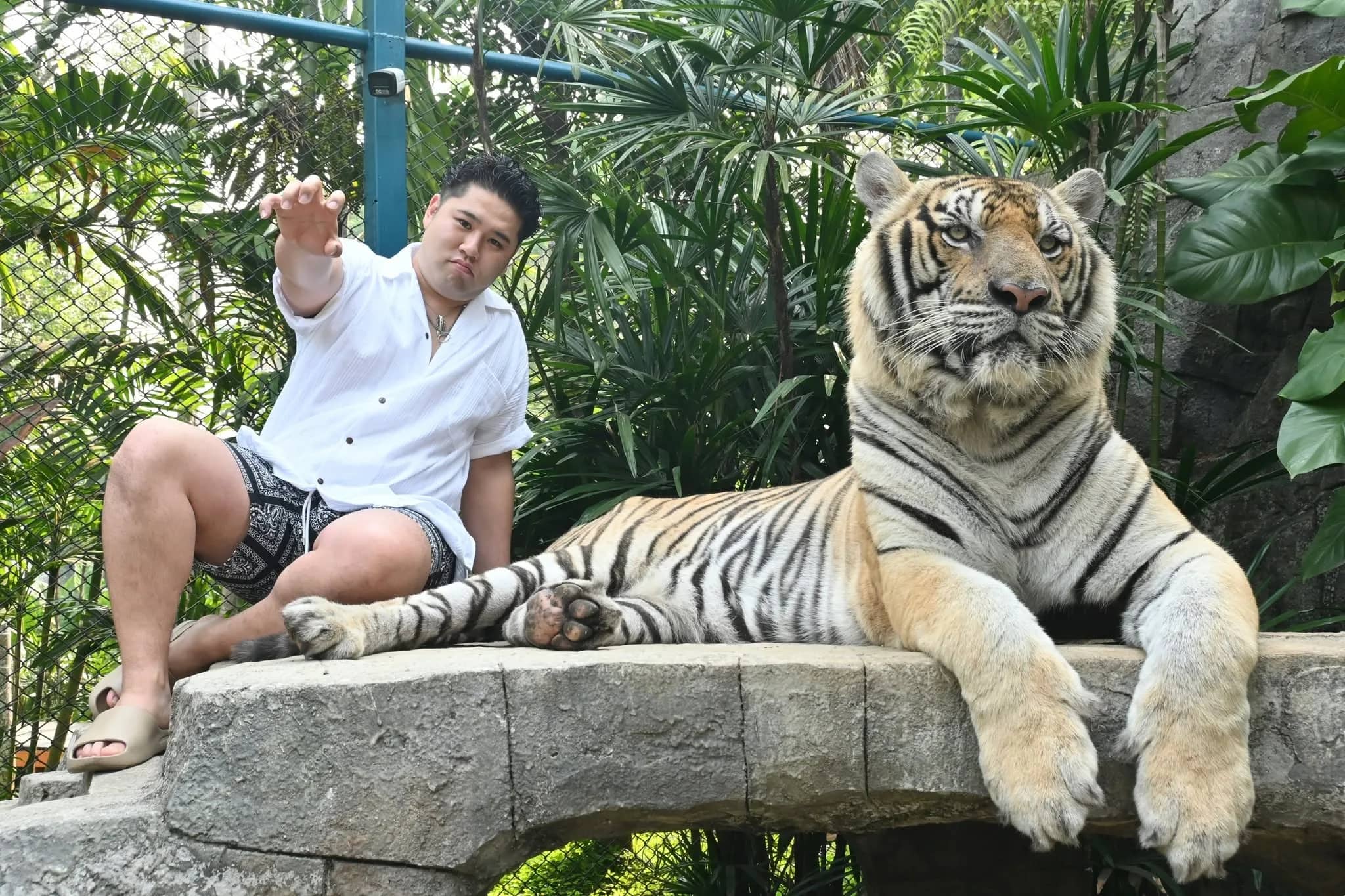 Tiger Kingdom Chiang Mai - photo 22