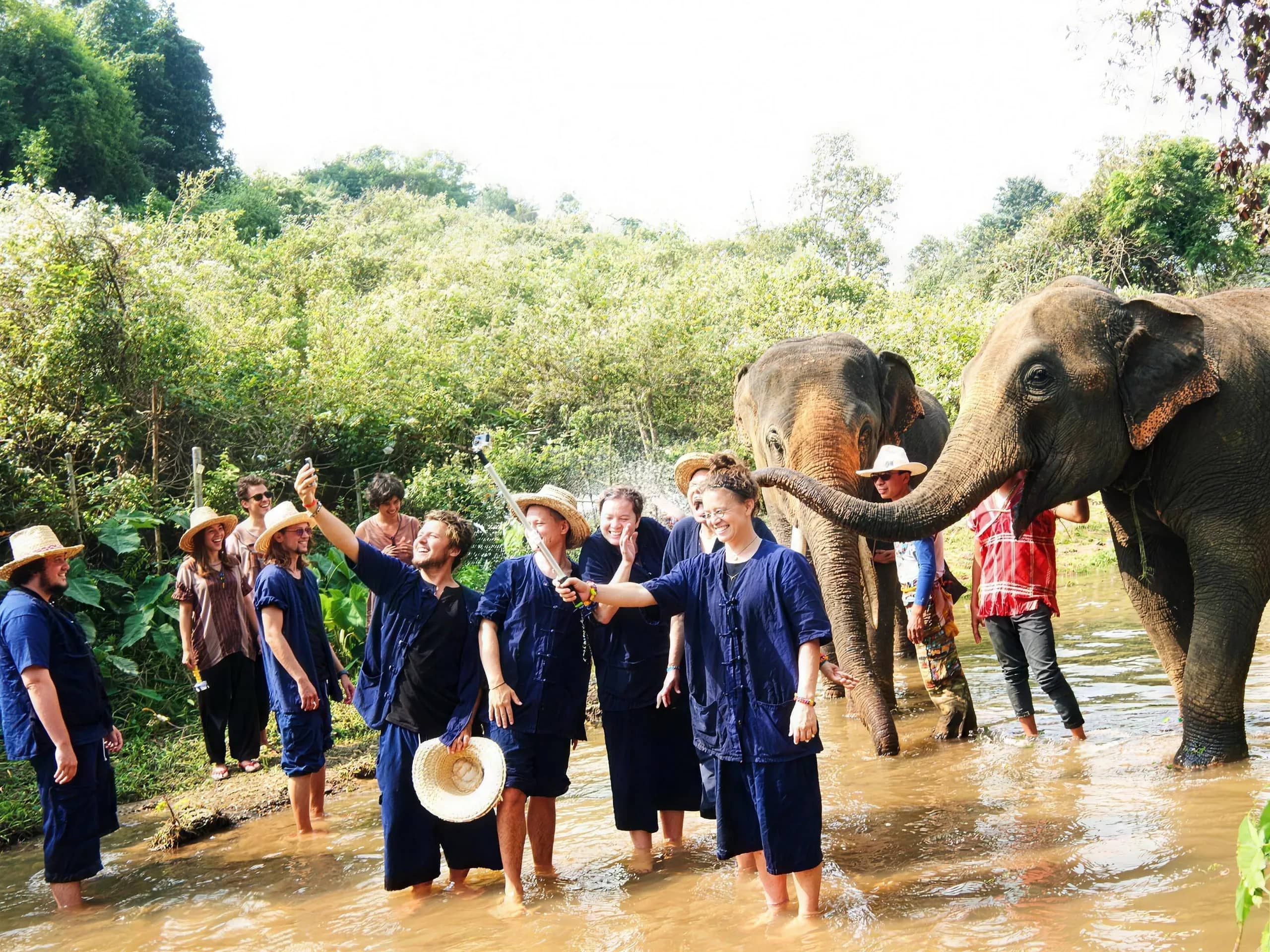 Visitors in blue farmer shirts stand in a shallow stream with two elephants and their mahouts