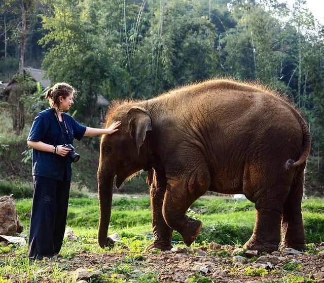 1 Day Walking with Elephants - photo 2