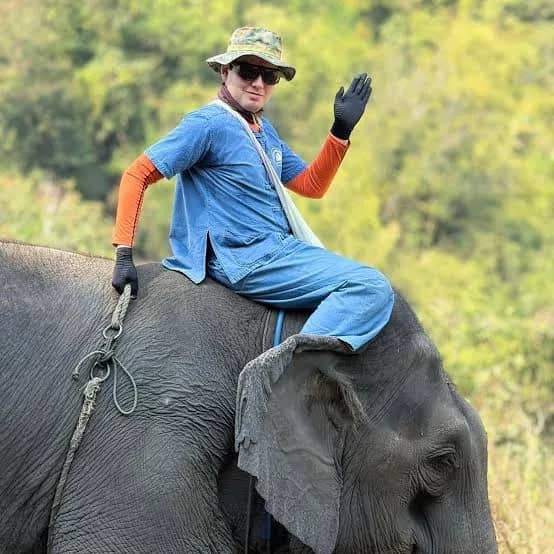 1 Day Walking with Elephants - photo 3