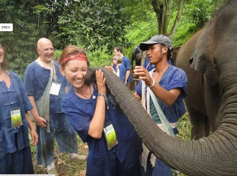 1 Day Walking with Elephants - photo 4