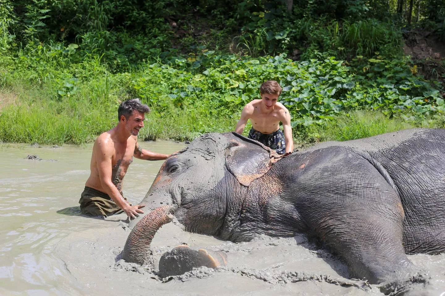 Half Day Morning - Mae Rim Elephant Sanctuary