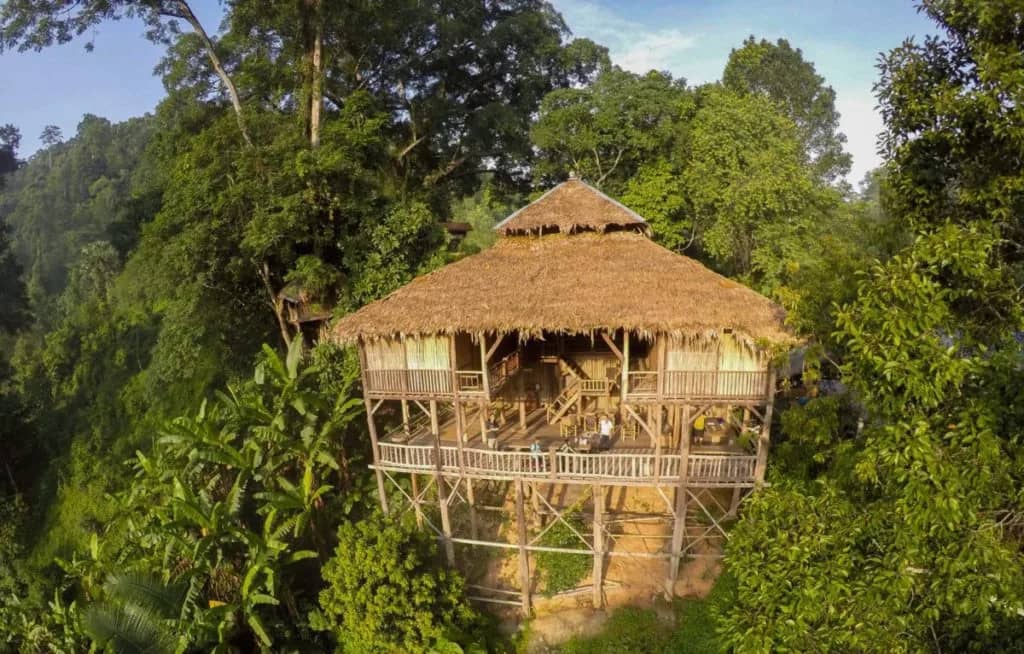2-Day 1-Night Jungle Experience with Treehouse Stay