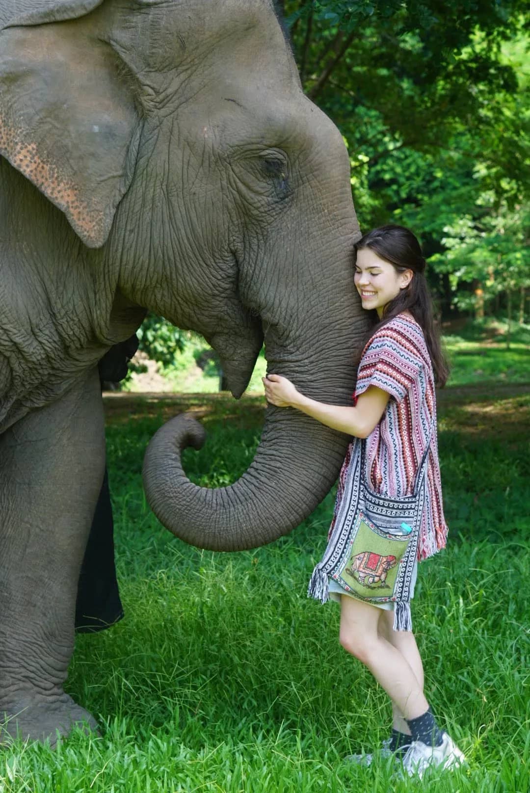 2-Day Elephant Lover - Chang Thai Heritage Elephant Sanctuary