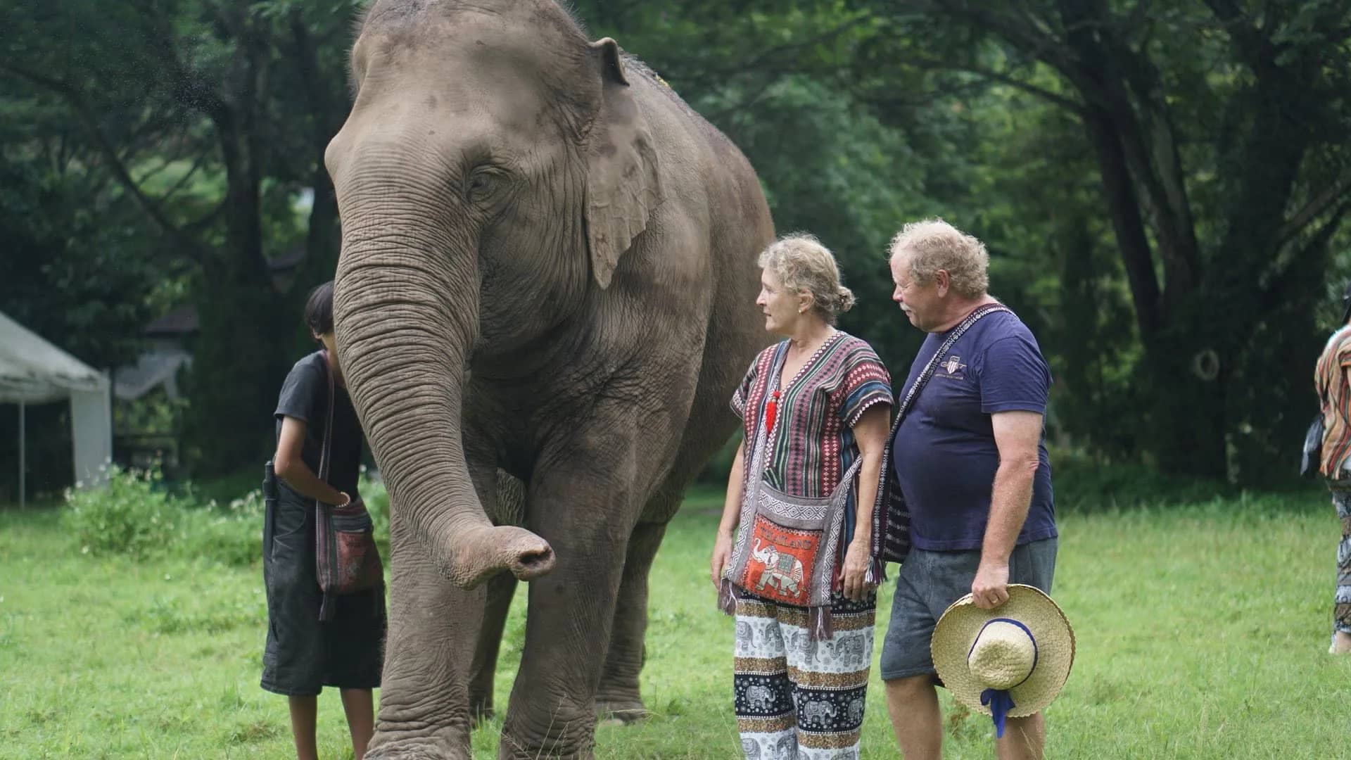 2-Day Elephant Lover - Chang Thai Heritage Elephant Sanctuary - photo 2