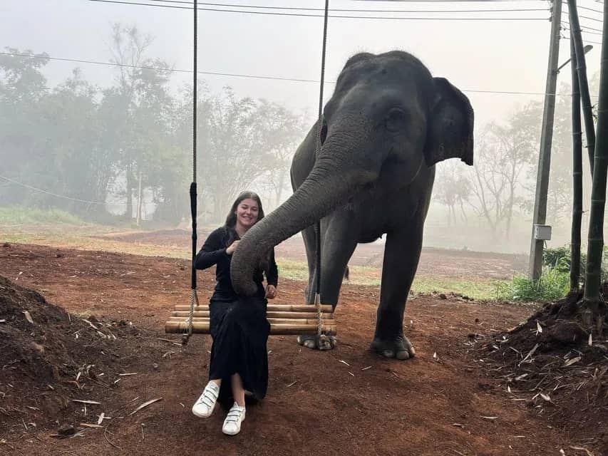 2-Day: Good Morning Elephant Trip with Homestay - photo 2