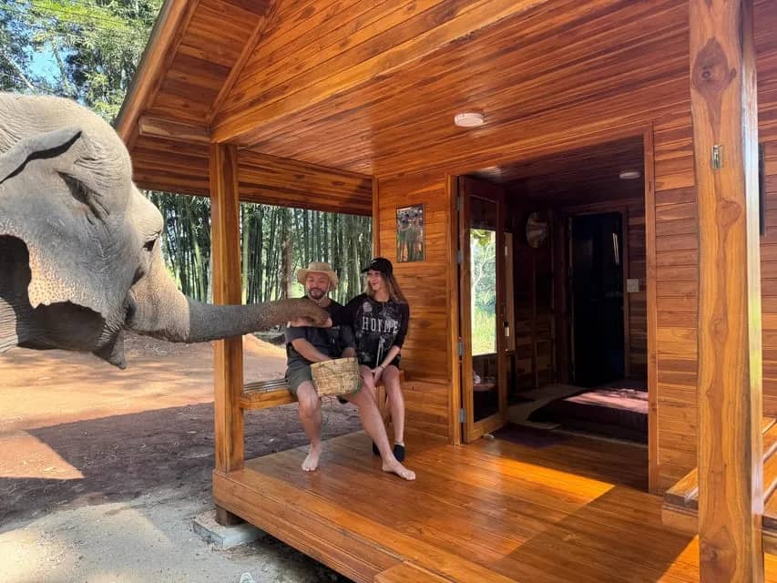 2-Day: Good Morning Elephant Trip with Homestay - photo 3