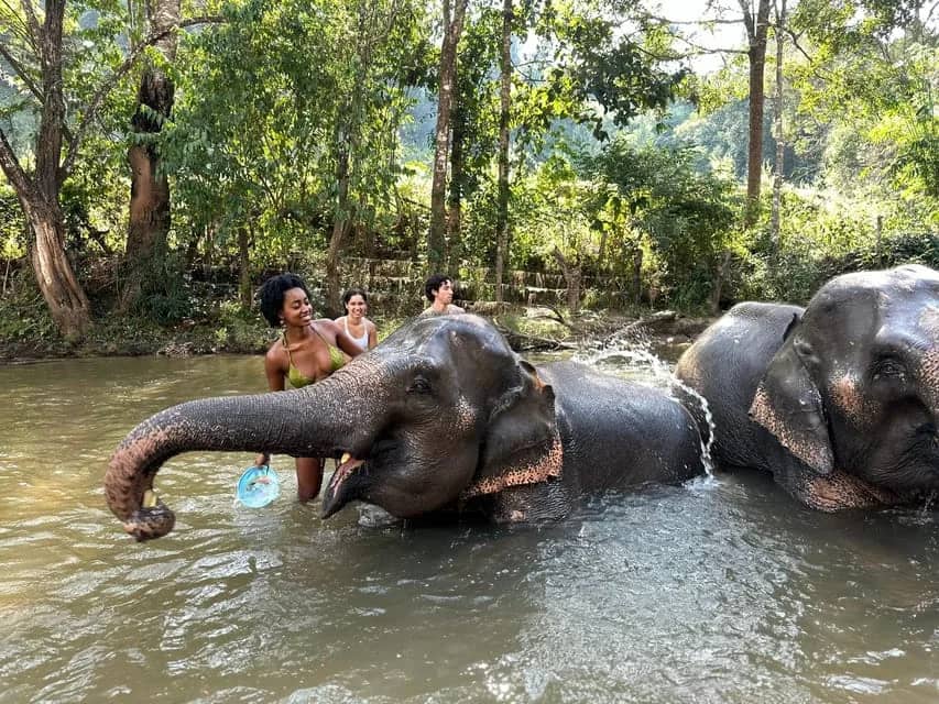2-Day: Good Morning Elephant Trip with Homestay - photo 4