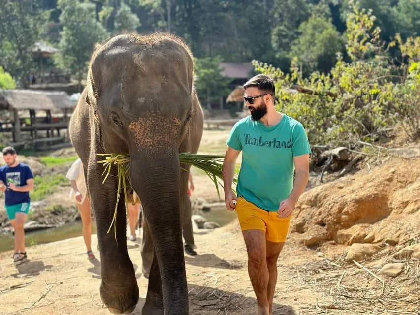 2-Day: Good Morning Elephant Trip with Homestay - photo 6
