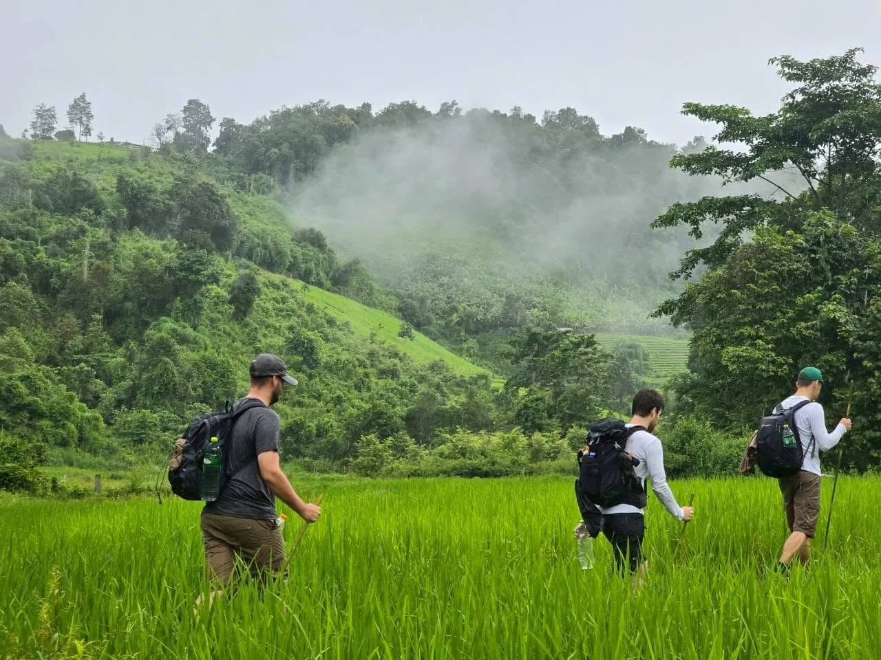 2 Days only walking in the Doi Inthanon National Park - photo 4