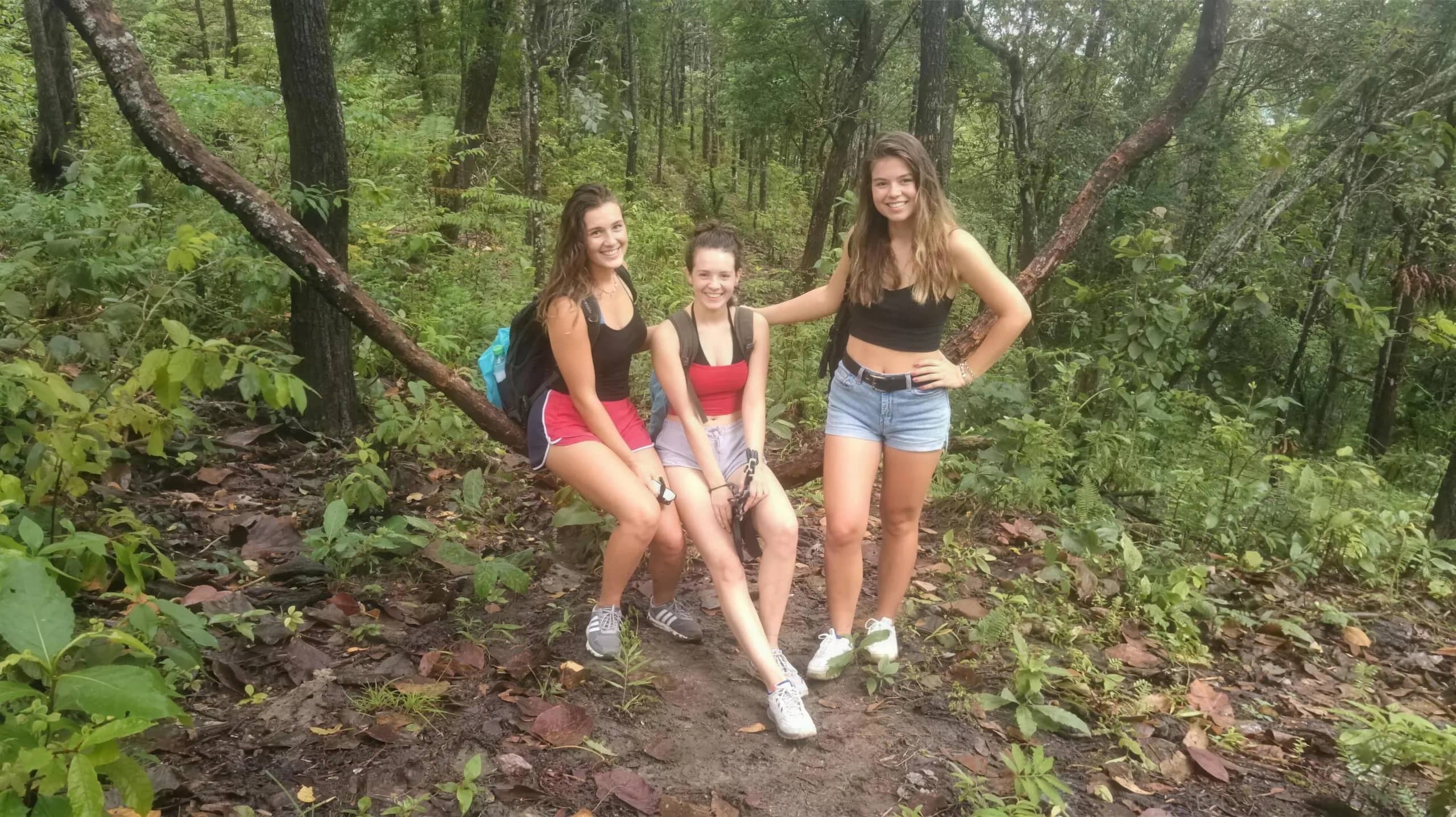 Three hikers sit on a low tree branch beside a forest trail on a hiking and elephant trip