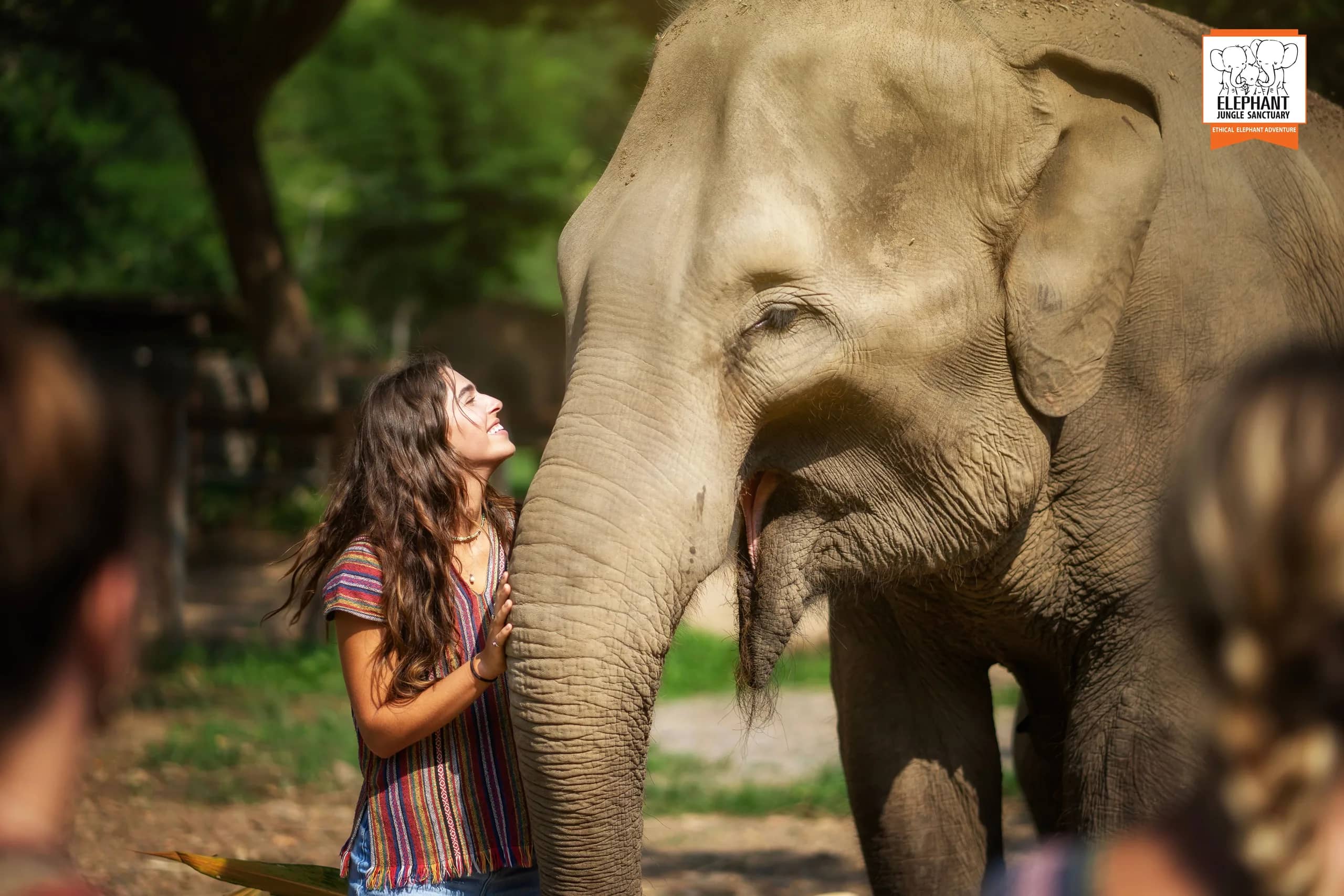 3-day 2-night volunteer program at Elephant Jungle Sanctuary Chiang Mai (photo 13)