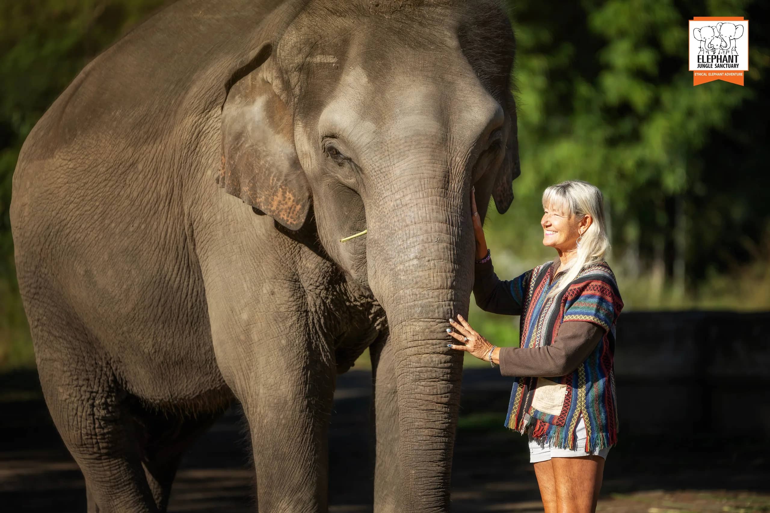 3-day 2-night volunteer program at Elephant Jungle Sanctuary Chiang Mai (photo 4)