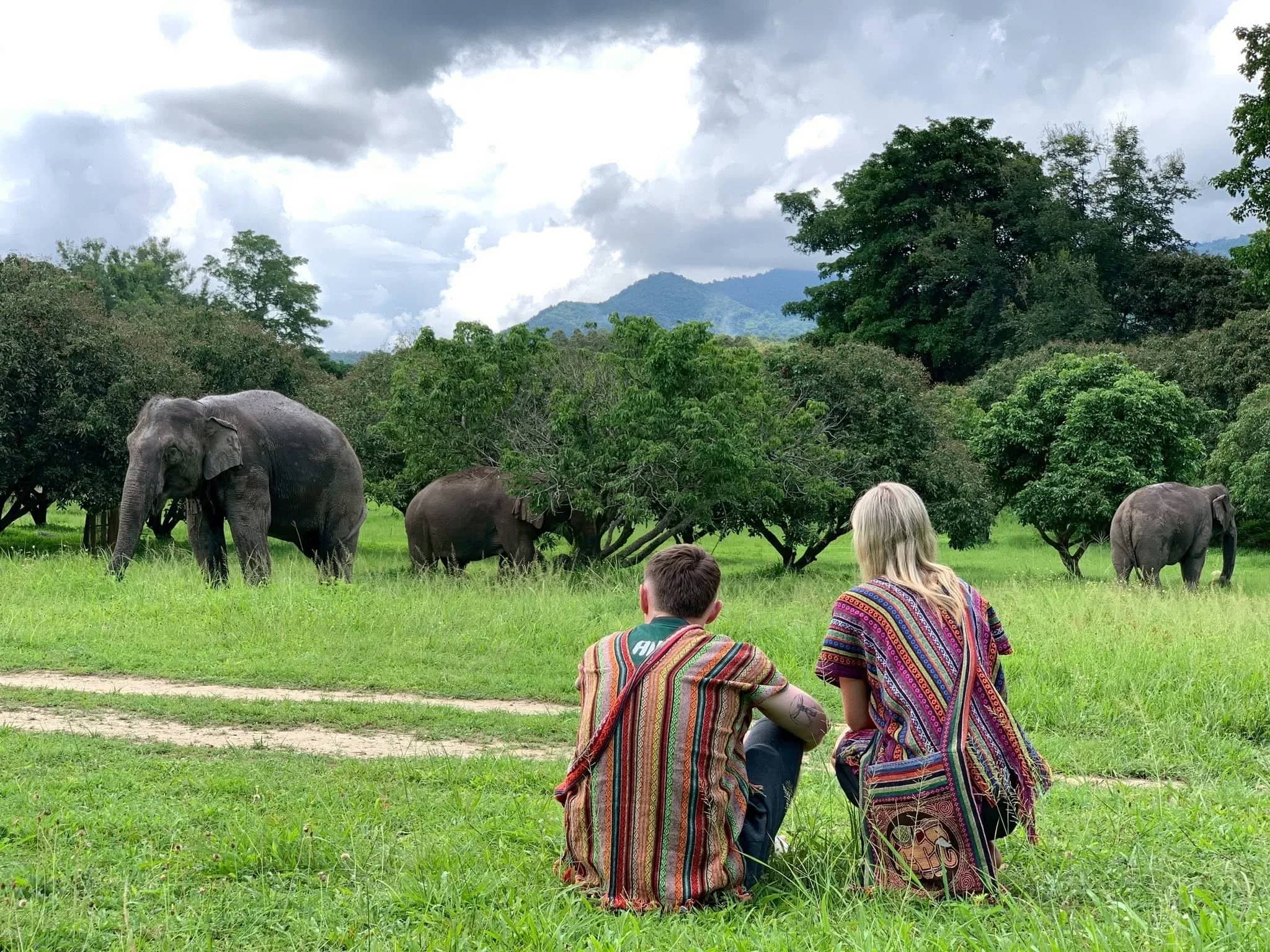 3-Day Elephant Lover - Chang Thai Heritage Elephant Sanctuary