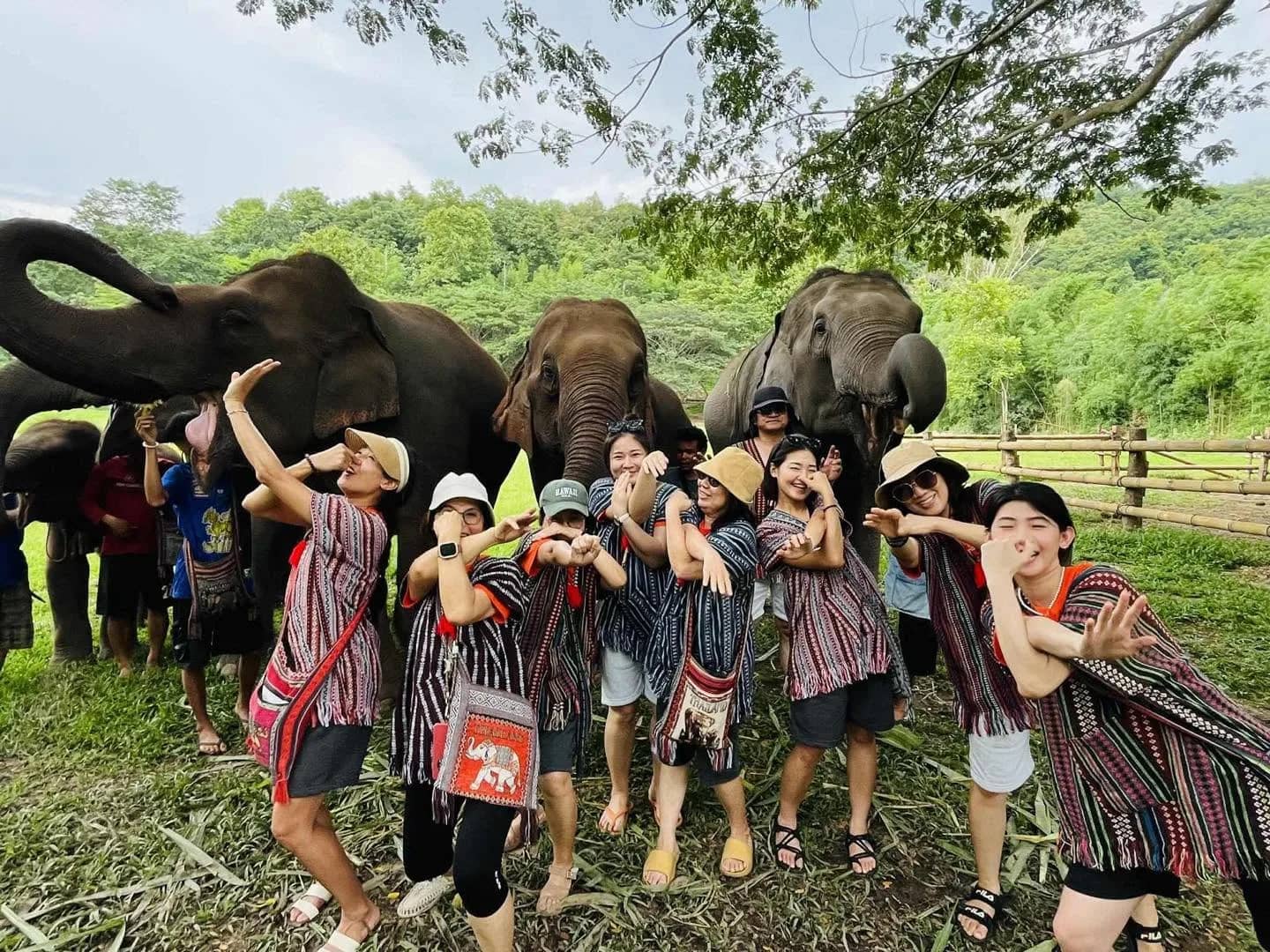 3-Day Elephant Lover - Chang Thai Heritage Elephant Sanctuary - photo 2