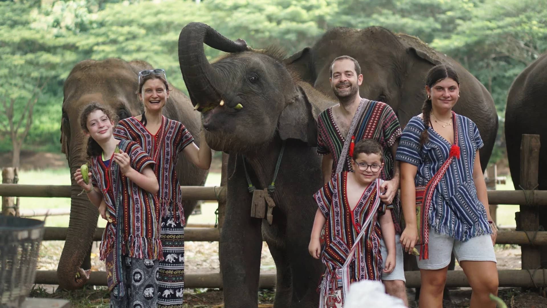 Half Day Elephant Lover - Chang Thai Heritage Elephant Sanctuary - photo 2