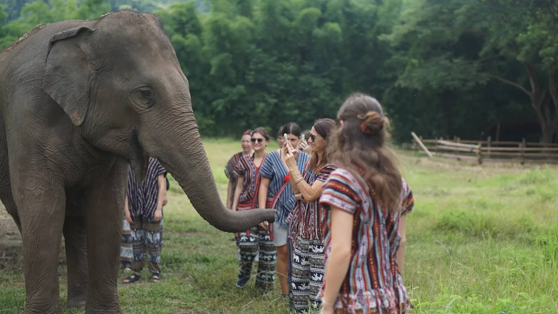 3-Day Elephant Lover - Chang Thai Heritage Elephant Sanctuary - photo 4