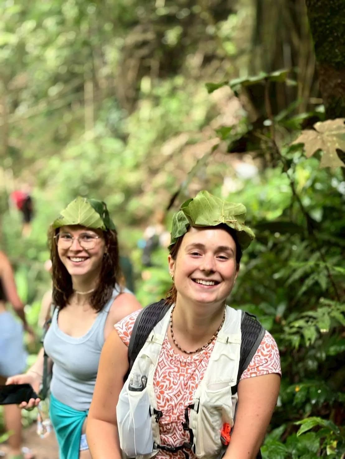 3 Days only walking in the Doi Inthanon Area - photo 4