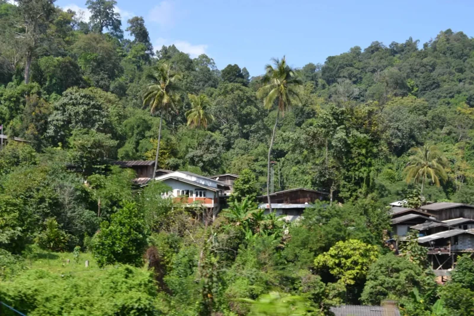 3 days / 2 nights mountain trek Mae Taeng highlands Jungle Trek - photo 7
