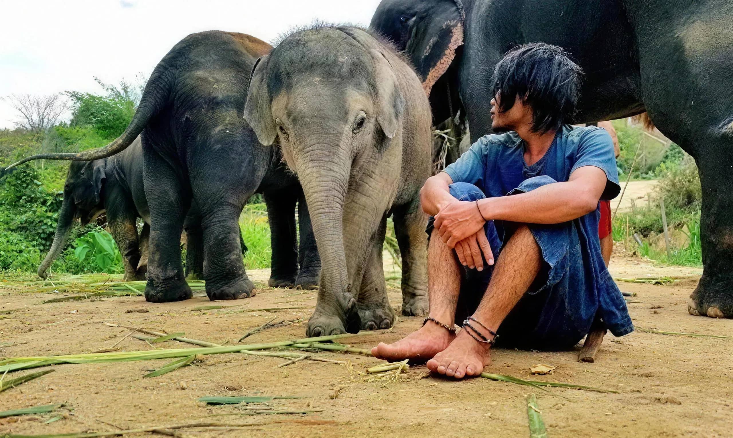 A young man sits barefoot on the ground beside a baby elephant and adult elephants at the sanctuary.