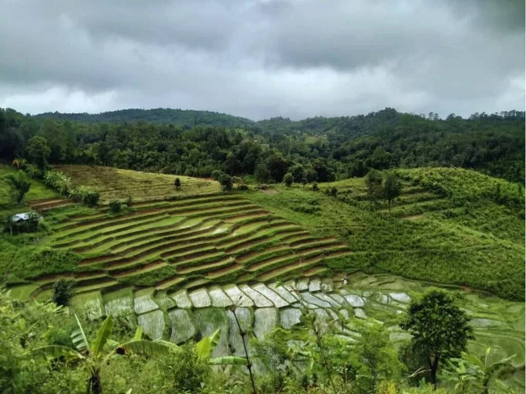 3 Days 2 Nights Trek - photo 3