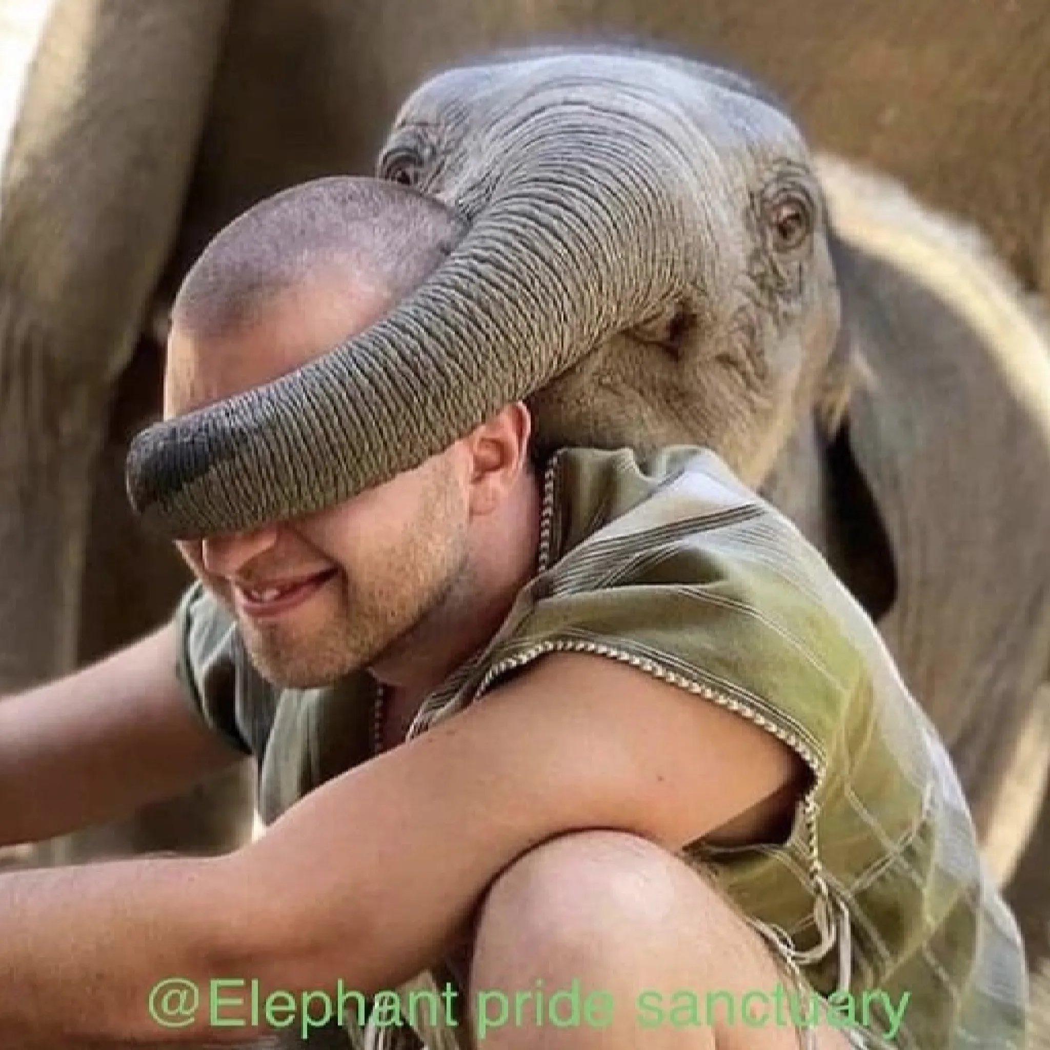 Full-Day Elephant Care Experience