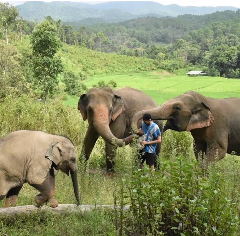 Private Elephant Sanctuary & Jungle Trekking Adventure - photo 2