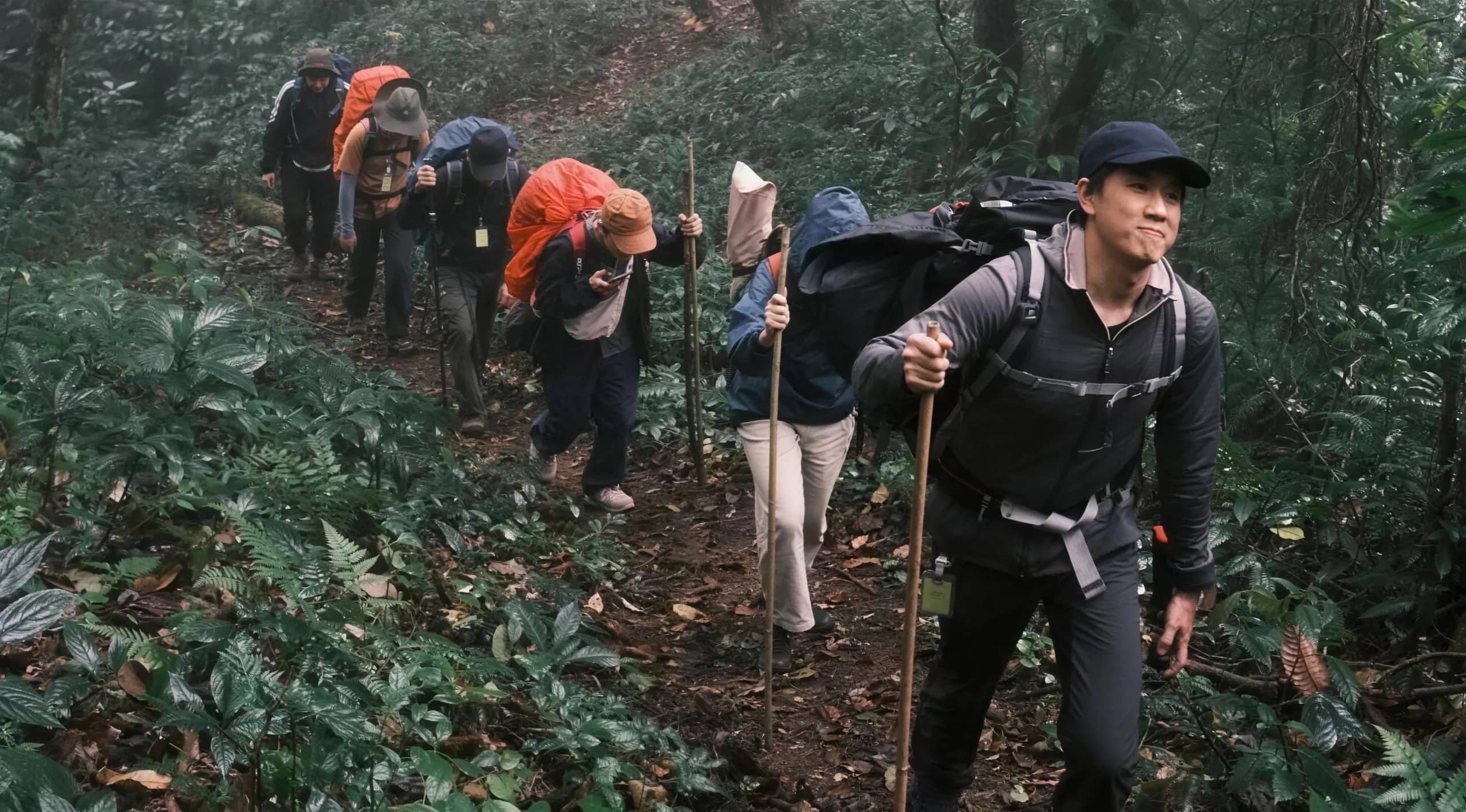 A line of trekkers with backpacks and walking sticks climbs a steep forest trail.