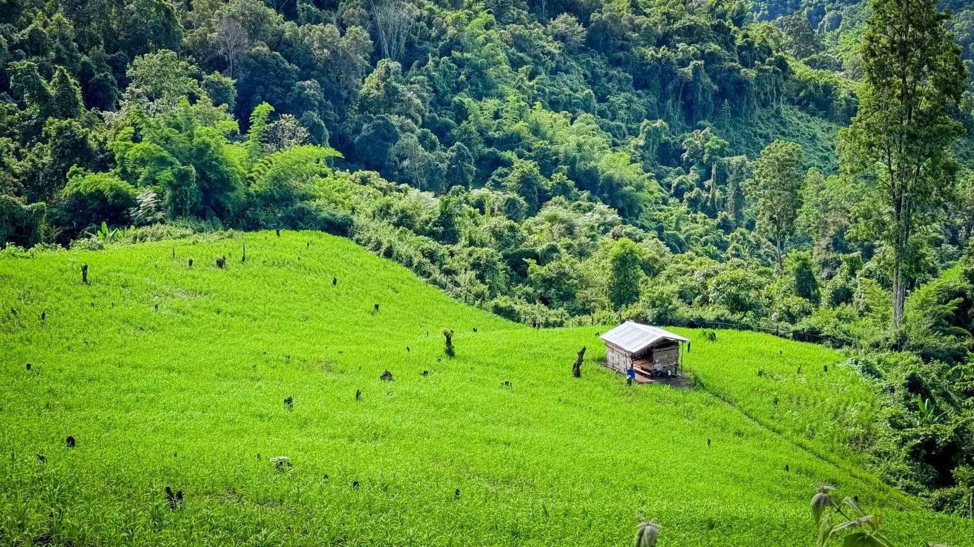 Amazing Eco Trek - 2 Days 1 Night - photo 5