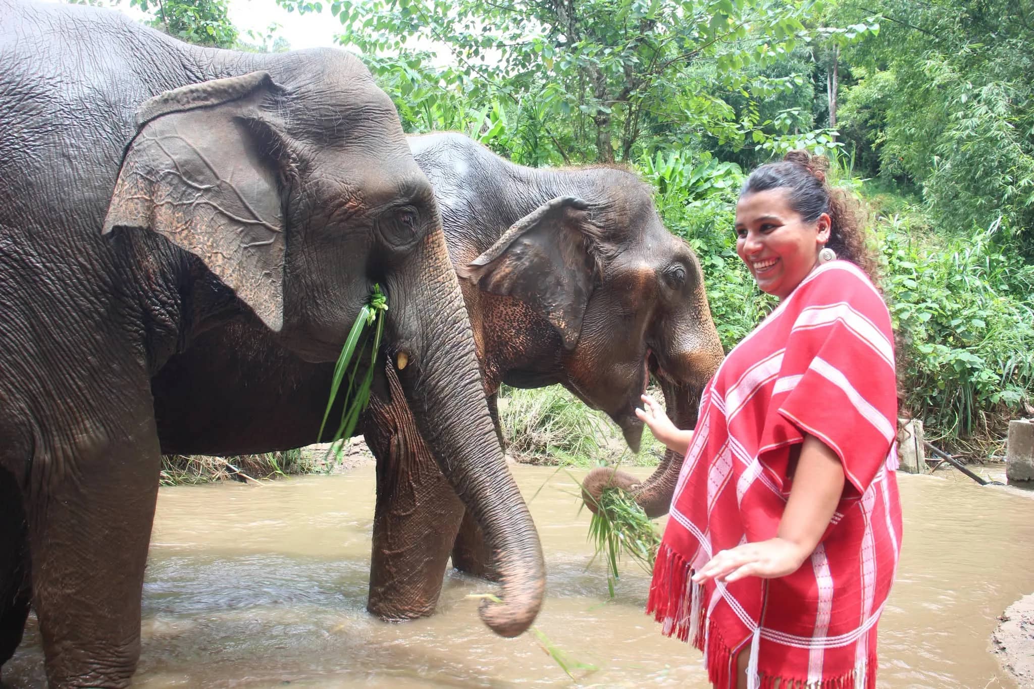 Bamboo elephant family care - Half Day Morning - photo 5