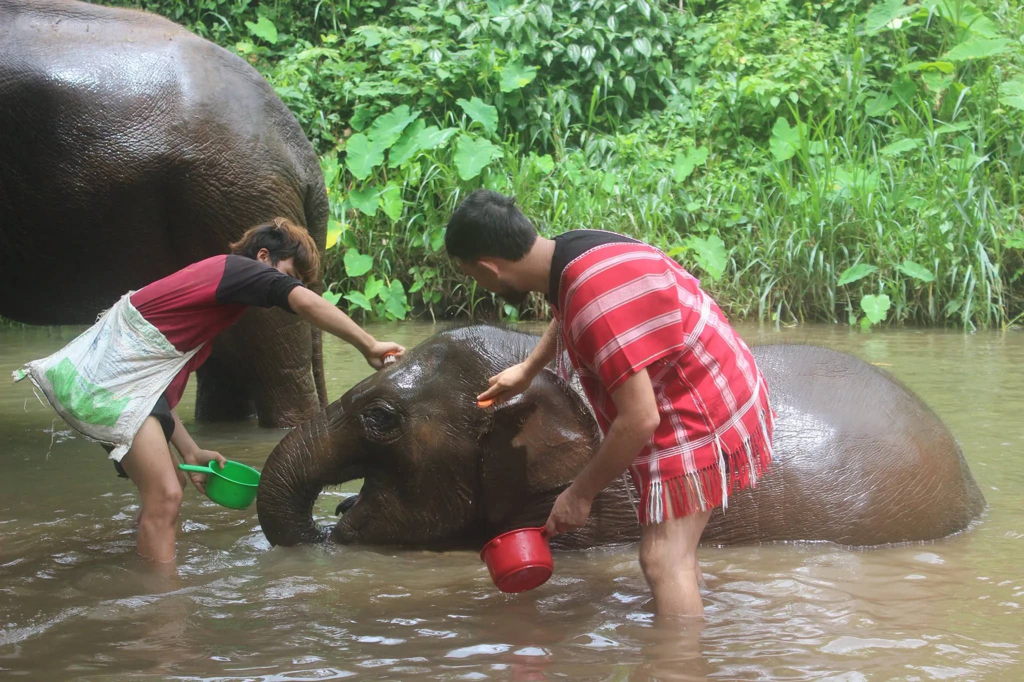 Day Trip Sticky Waterfall + Whitewater Rafting & Elephant Care - photo 3
