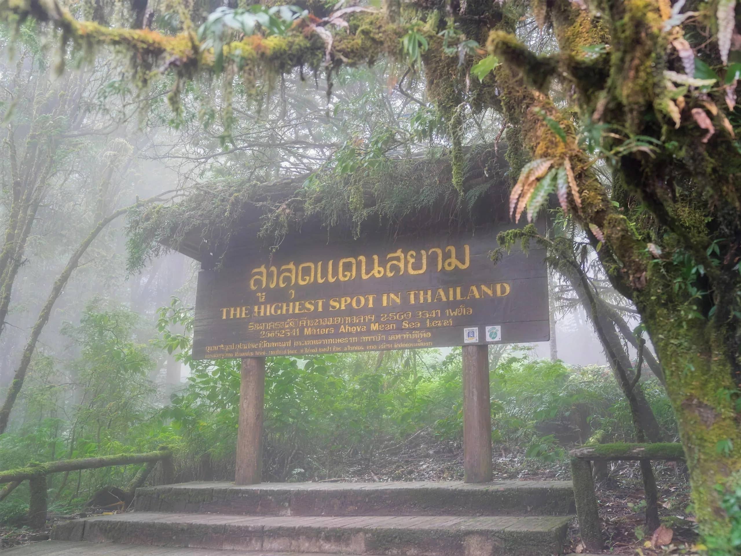 A wooden sign marking the highest spot in Thailand stands in misty, moss-covered forest on Doi Inthanon.
