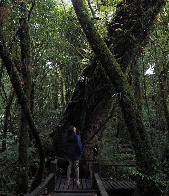 Doi Inthanon National Park (Joinus Thai Tour) - photo 6
