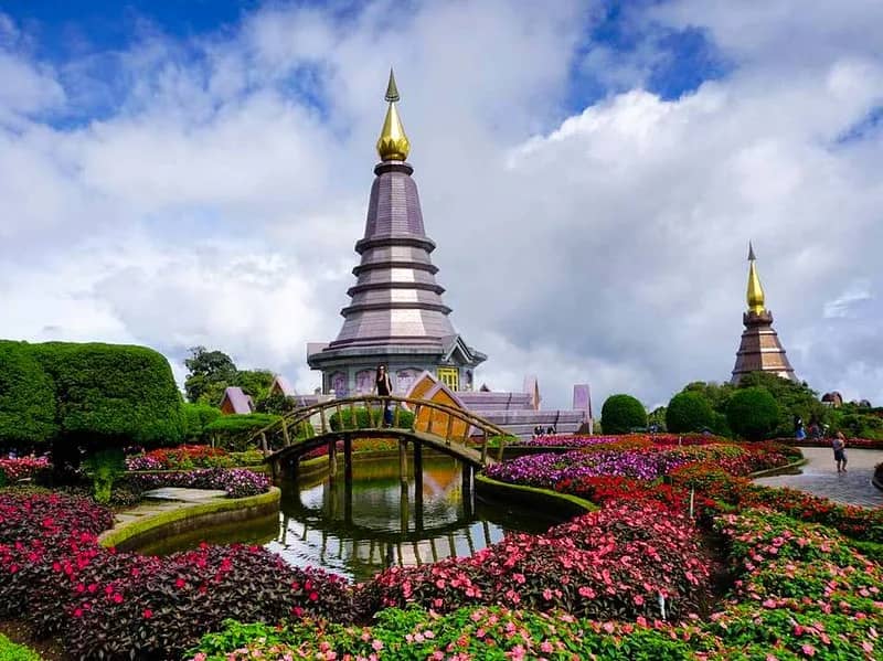 1 Day walking in the Doi Inthanon National Park & visit the Highest Peak of Doi Inthanon - photo 3