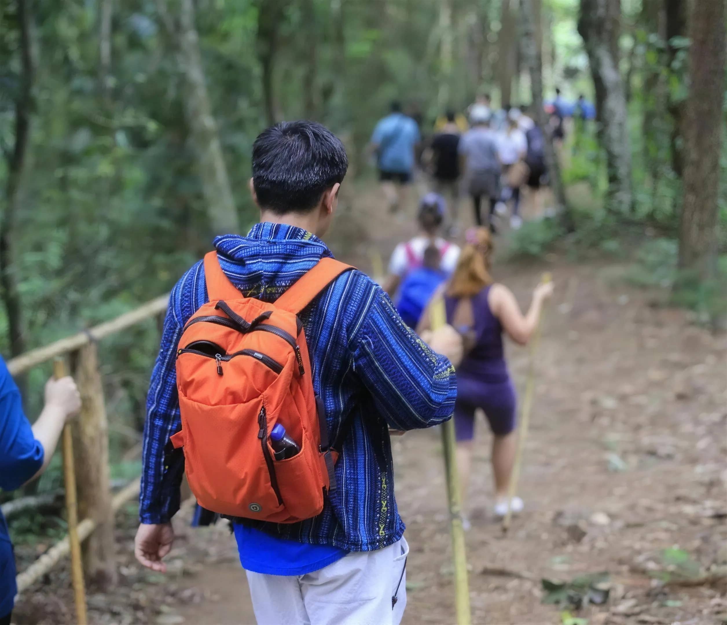 A line of hikers with backpacks and walking sticks follows a railed dirt path through the forest