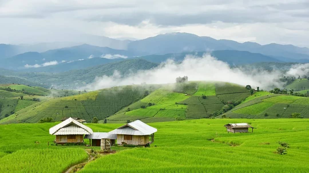 Doi Inthanon National Park + Pa Bong Piang Rice Terrace - photo 2