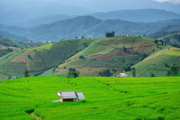 Doi Inthanon National Park + Pa Bong Piang Rice Terrace - photo 6