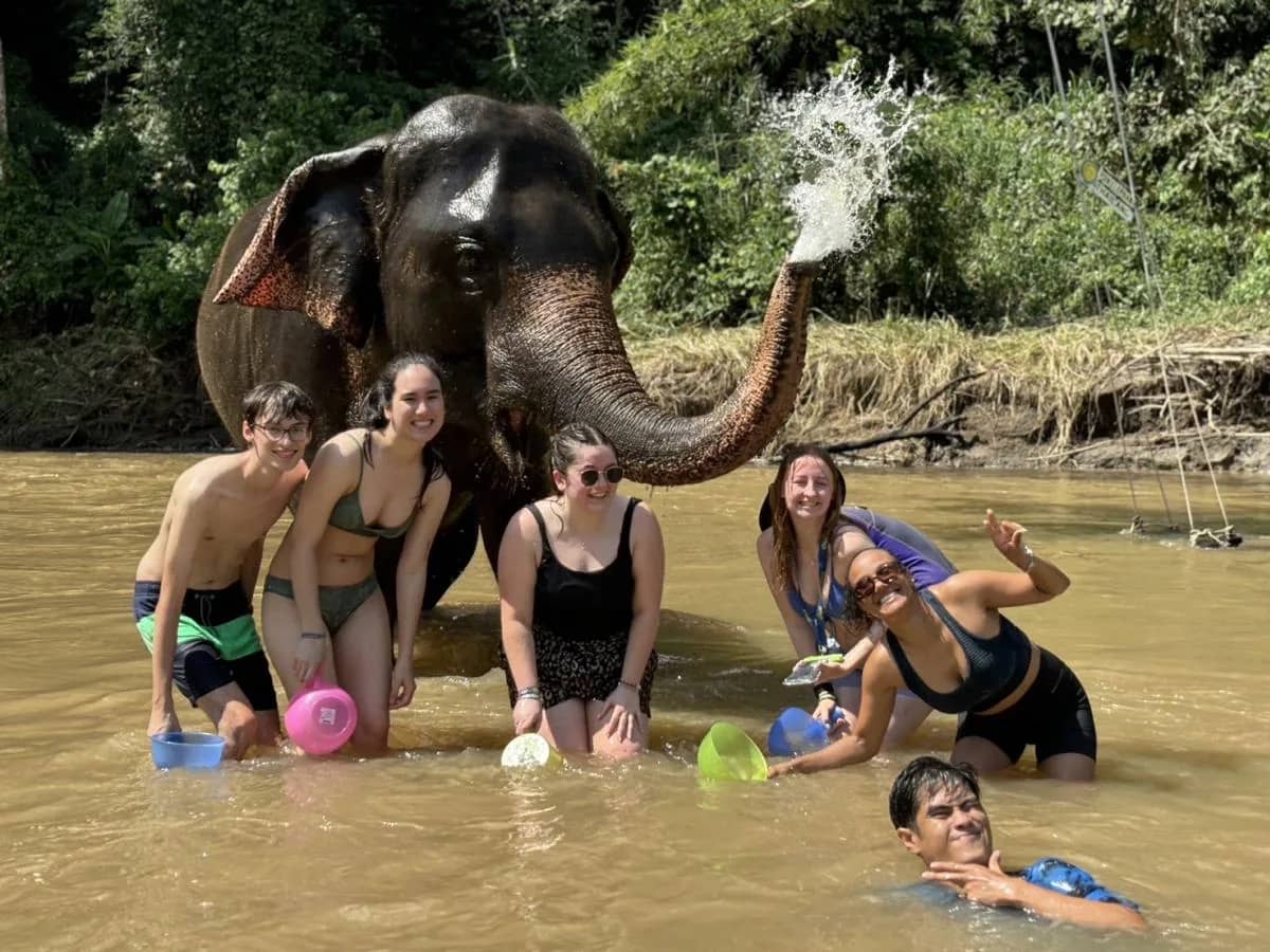 Doi Inthanon National Park - Pon Elephant Sanctuary - photo 3