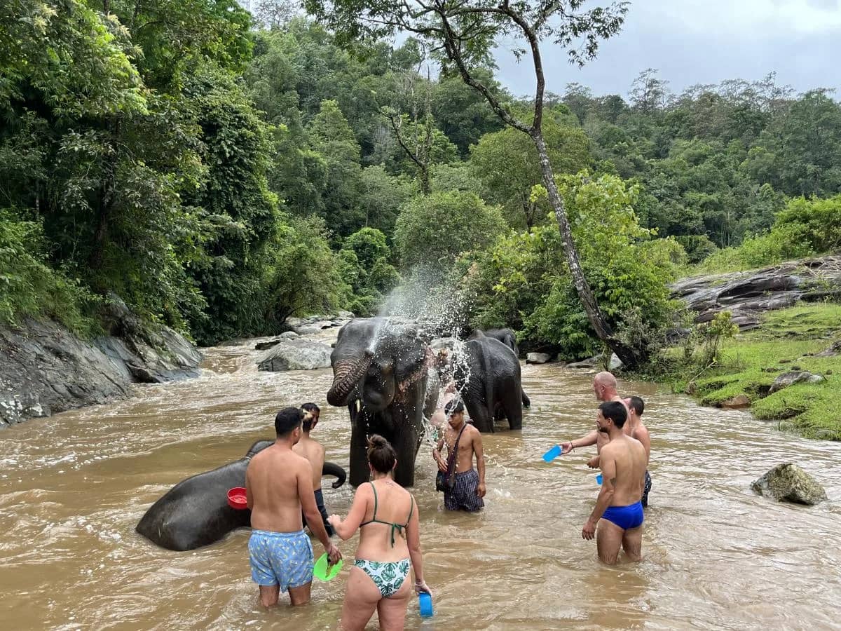 Doi Inthanon National Park - Pon Elephant Sanctuary - photo 4