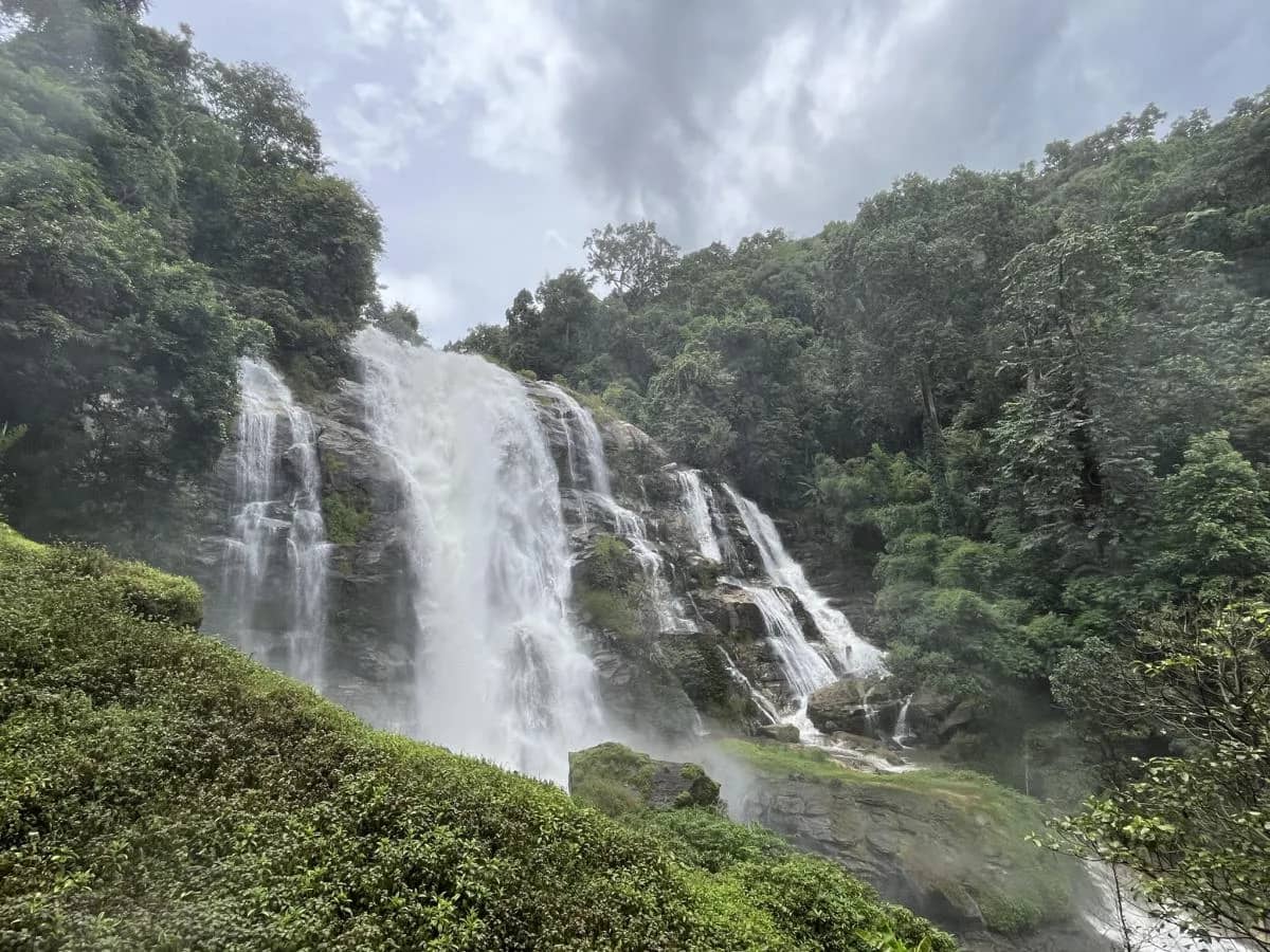 Doi Inthanon National Park - Pon Elephant Sanctuary - photo 6