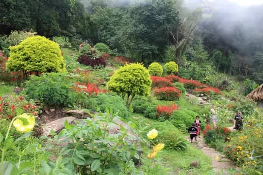Doi Suthep + Hmong Village - photo 6