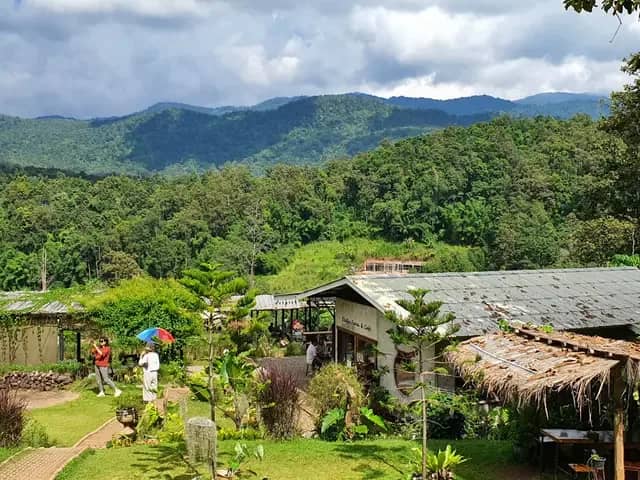 Elefin Farm & Cafe + Cypress Lanes & BaanKang Wat - photo 2
