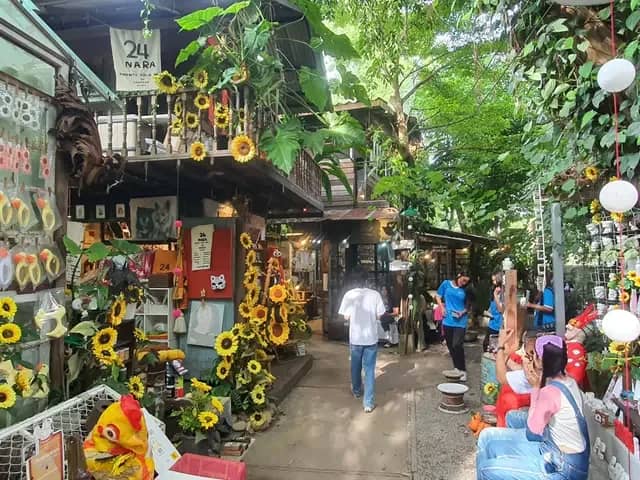 Elefin Farm & Cafe + Cypress Lanes & BaanKang Wat - photo 3