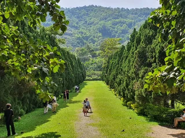 Elefin Farm & Cafe + Cypress Lanes & BaanKang Wat - photo 4